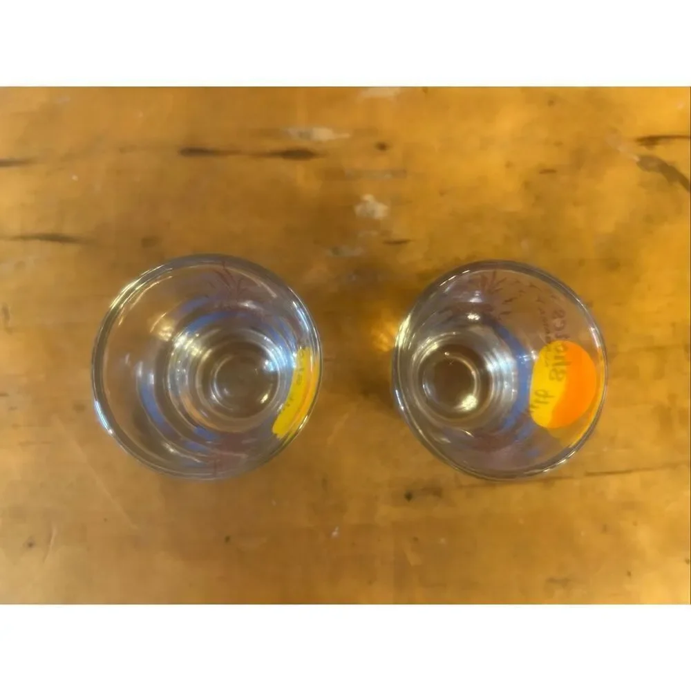 GULF SHORES ALABAMA BEACH SHOT GLASS Lot Of 2 (5992)